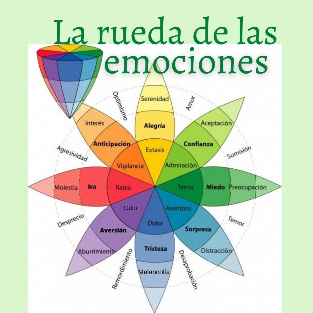 Roda de les emocions de Robert Plutchik.